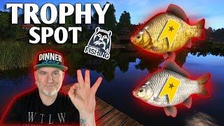 Russian Fishing 4 | Trophy Spot Karausche/Giebel | Moskito See | RF4 | 023