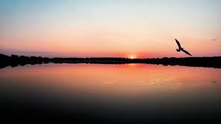 Sunrise July 20 2024 5:46 AM #drone #summer #relaxing #4k #asmr