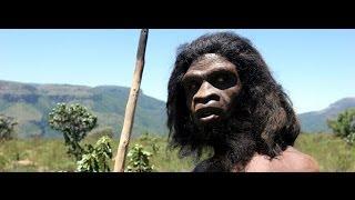 Ape To Man | Theory of Evolution Documentary