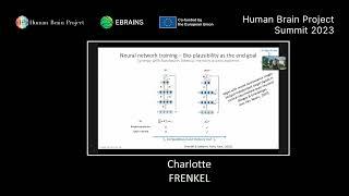 Human Brain Project Summit 2023 - Artificial neural networks - The interplay of neuroscience and AI