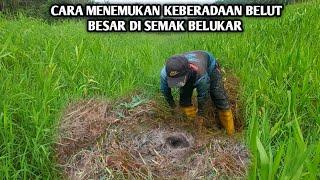 TITIK TEMPAT DI SEMAK BELUKAR YG BANYAK DI HUNI OLEH BELUT BESAR