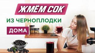 Заготовка сока из черноплодной рябины - как отжать чистый сок из ягод?