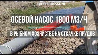 Купили насос Veneroni 1800 м3ч в рыбное хозяйство, откачиваем пруды для отловли рыбы и чистки пруда