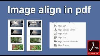 How to Align Image or object in Adobe Acrobat Pro