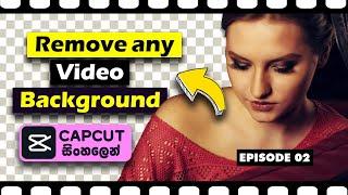 How to Remove Video Backgroun in CapCut | Sinhala Tutorial | CapCut Desktop