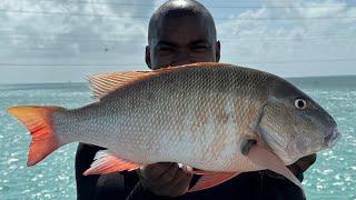 GROUPER Sized SNAPPER Caught! (FL Keys Bridge Fishing)