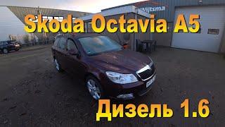 Покупка авто в Нидерландах. Продолжение одной поездки.