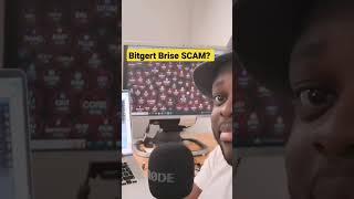 Bitgert Brise Crypto Project A SCAM?