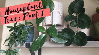 Houseplant Tour: Part 1 | Winter 2020