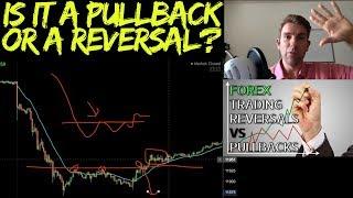 Spotting the Difference between a Pullback and a Reversal? 