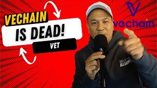 Vechain Is DEAD?!?!?!