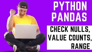 Python Pandas - Check Nulls, Value Counts and Range of Columns