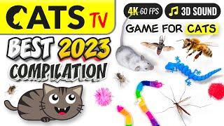 CAT TV - BEST 2023 Compilation for Cats  5 HOURS [4K]