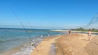 Мы в восторге! Приехали на море. Обстановка на пляже. Море уже +27, 8 июня 2024 г. поселок Пересыпь