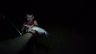 Рыбалка. Рыбалка ночью в Краснодарском крае. Сомики и Сазанчик на канале.