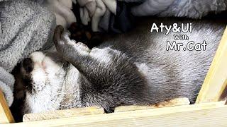 The Larval Otter [Otter life Day 690]