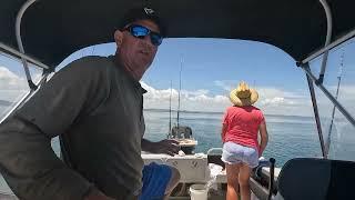 Great White Shark Leaps From Water as Family Fishes in New Zealand