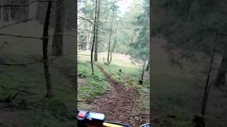 Sur-Ron Lightbee X️ back in the wood's Offroad/Downhill #surron #enduro #shorts