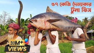 123 Pounds Giant Tuna Fish Cutting & Cooking - Sea Fish Curry Recipe Of Grandpa For Special people