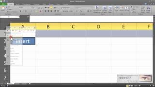 Excel macro that inserts data with a button