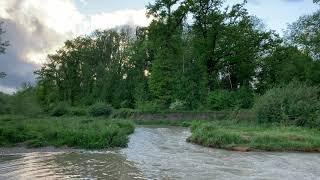 Geneva nature after rain