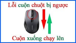 Cách sửa lỗi con lăn cuộn chuột cuộn trang bị ngược cho máy tính