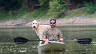 How to Introduce Older Dogs to Swimming and Kayaking