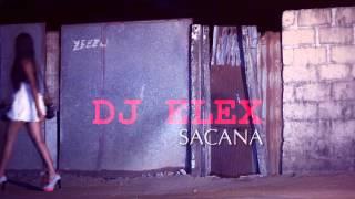 Dj Elex ft. Celia - Sacana