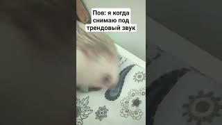 Пов: я когда снимаю под трендовый звук