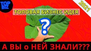 Бизнес Идеи 2021. Самая новая и ТОПОВАЯ Бизнес Идея на 2021 год. Бизнес 2021. Бизнес канал