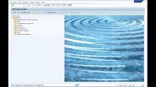 Video 23 - SAP S4 HANA 1709 post installation step  - Part_1