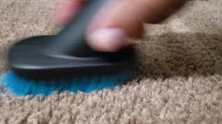 Carpet Brushing - Carpet Scrubbing with 4 different brushes *asmr* *no talking*