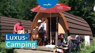 Glamping: Glamouröses Camping im Trend | MDR SACHSEN-ANHALT HEUTE | MDR