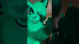 his voice means to deceive you… #furries #fursuit #antizoo #furry #fnaf
