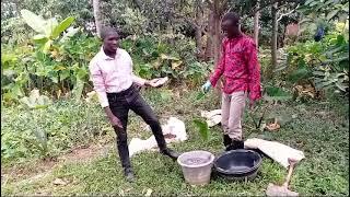 how to make Organic liquid fertilizer part 3