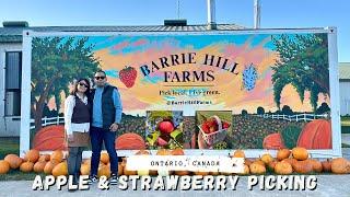 Apple & Strawberry Picking at Barrie Hill Farms, ON | WalterNei