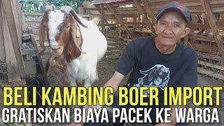 BELI KAMBING BOER IMPORT DAN GRATISKAN BIAYA PACEK UNTUK WARGA | KELILING REVIEW HARGA KAMBING BOER