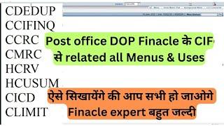 Dop finacle all menu related to CIF | Practical Use of Menus in finacle