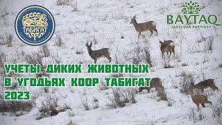 Мониторинг животных ресурсов КООР «Табигат» , совместно с членами партии «Байтак»