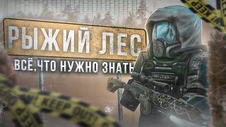 Основы новичка: Рыжий Лес - СТАЛКРАФТ | STALCRAFT