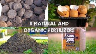 8 Natural and Organic Fertilizers to Grow Big Plants