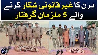 5 accused of illegal hunting of deer arrested - Aaj News