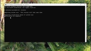 Process Exited With Code 1 Command Prompt Error on Windows 10/11 FIX