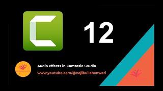 Audio effects in Camtasia Studio