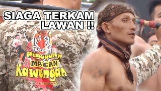 Macan Kawangan Terkam Kancil Tandek  | Peresean Official