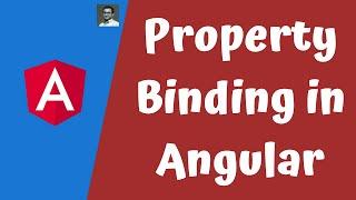 12. Property Binding in the Angular. Bind Property to the attributes in the angular template.