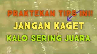 ANTI BONCOS!  TIPS DAN TRIK MANCING AGAR TIDAK BONCOS #mancing #mancingikanmas #mancingmania #joran