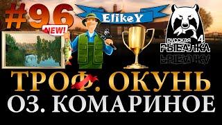 Трофейный Окунь • Где Закрыть?! • Новая Точка • Новое Озеро Комариное • Русская Рыбалка 4 #96