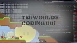 Teeworlds programming #001 - hello world server