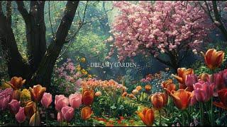 Relaxation Rhythms: Music to Quiet the Mind and Reduce Stress | Dreamy Garden